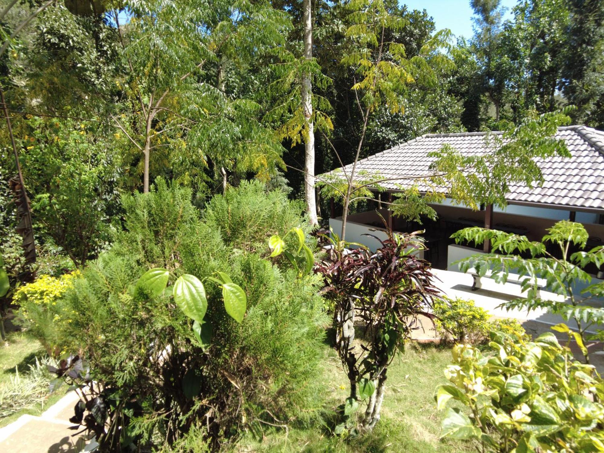 Seattle Garden Resort - Kollihills Екстер'єр фото